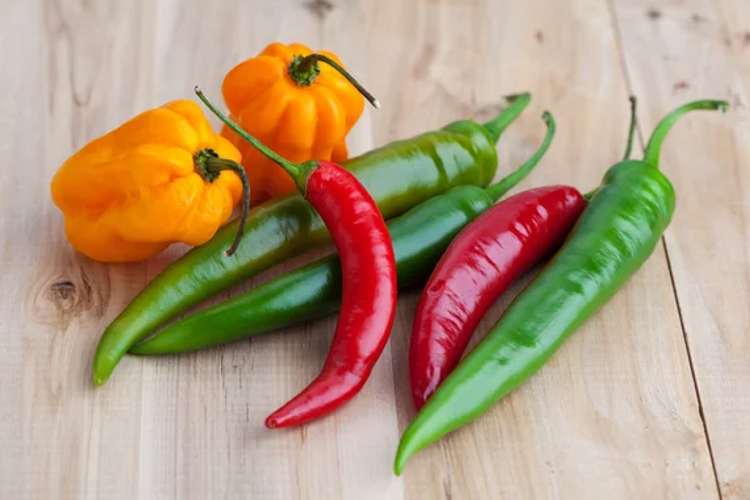 Receta de Mojo picón